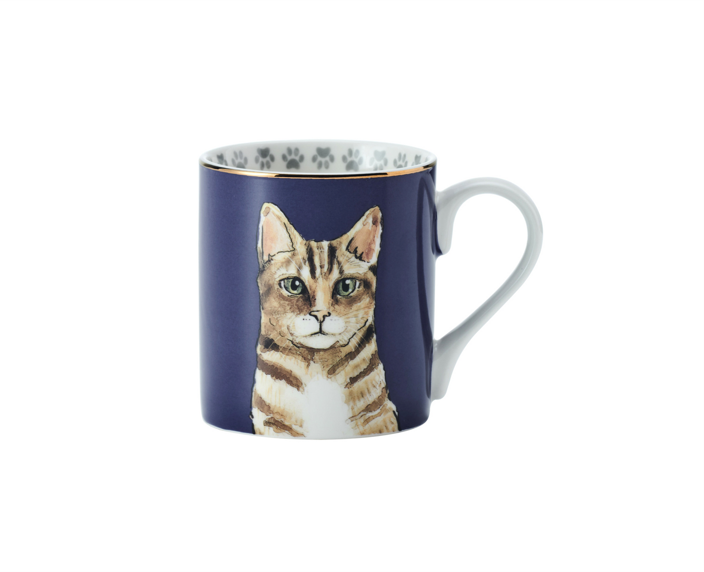Mikasa Cat
