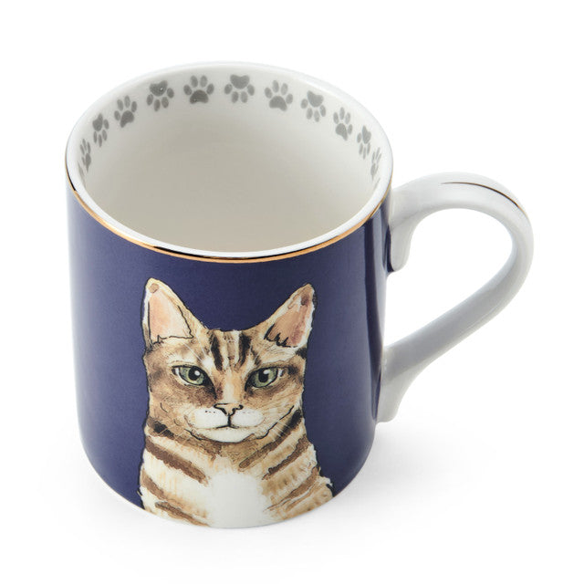 Mikasa Cat