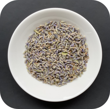 Lavender - Herbal infusion