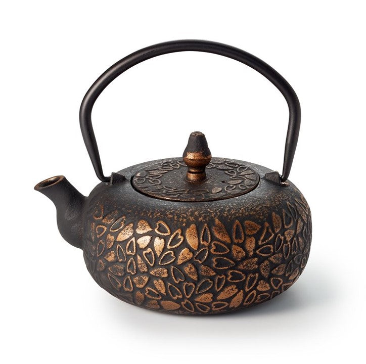 Cast Iron Teapot "Ningbo"
