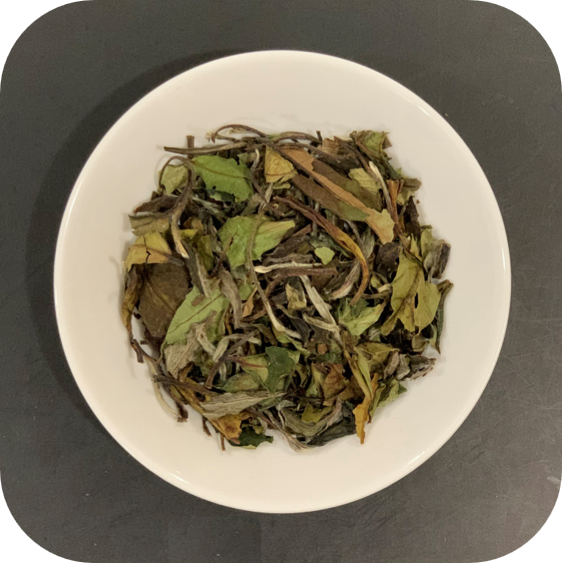 Organic White Peony - White Tea